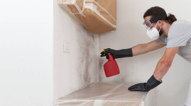 Professional Crawl Space Mold Remediation technician working in Fort Myers Beach, FL